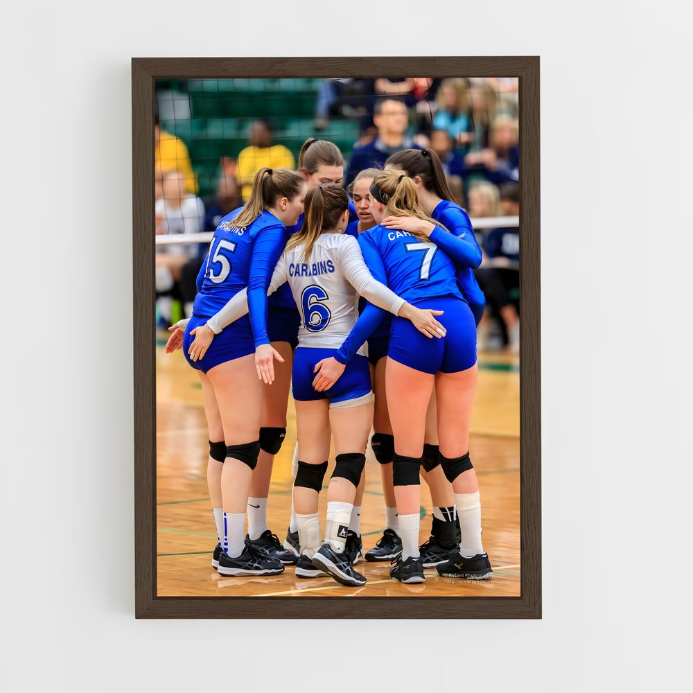 ap-volleyball world cup-6 cadre Bois foncé