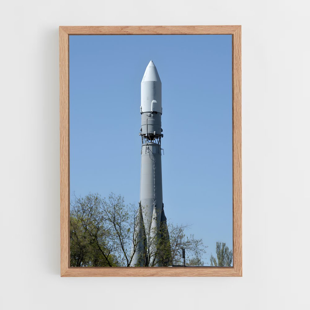 ap-vostok-4 cadre Bois clair