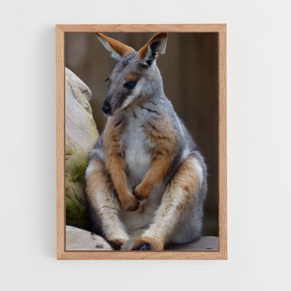 ap-wallaby-1 cadre Bois clair