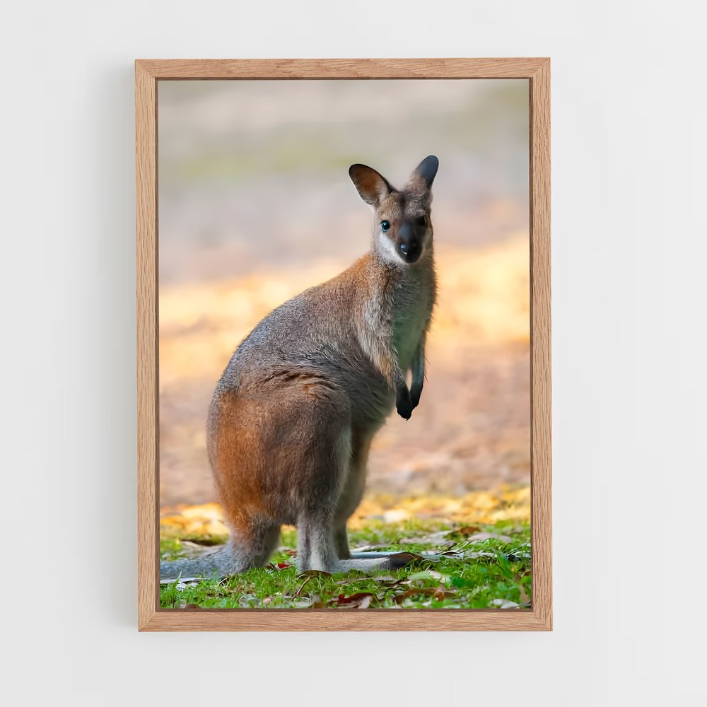 ap-wallaby-6 cadre Bois clair