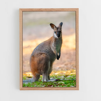 ap-wallaby-6 cadre Bois clair