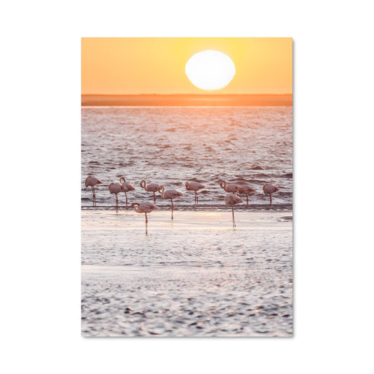 Poster Flamants au Crépuscule