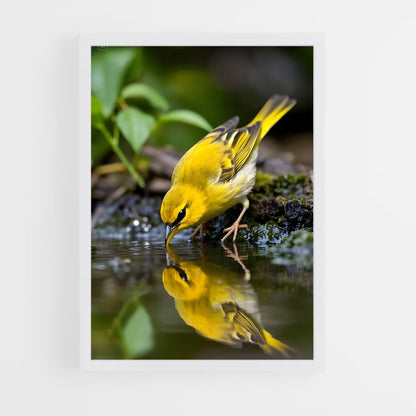 ap-warbler-6 cadre Blanc