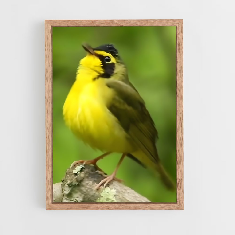 ap-warbler-7 cadre Bois clair