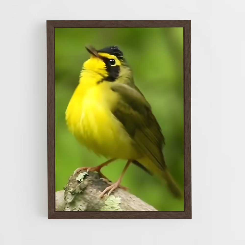ap-warbler-7 cadre Bois foncé