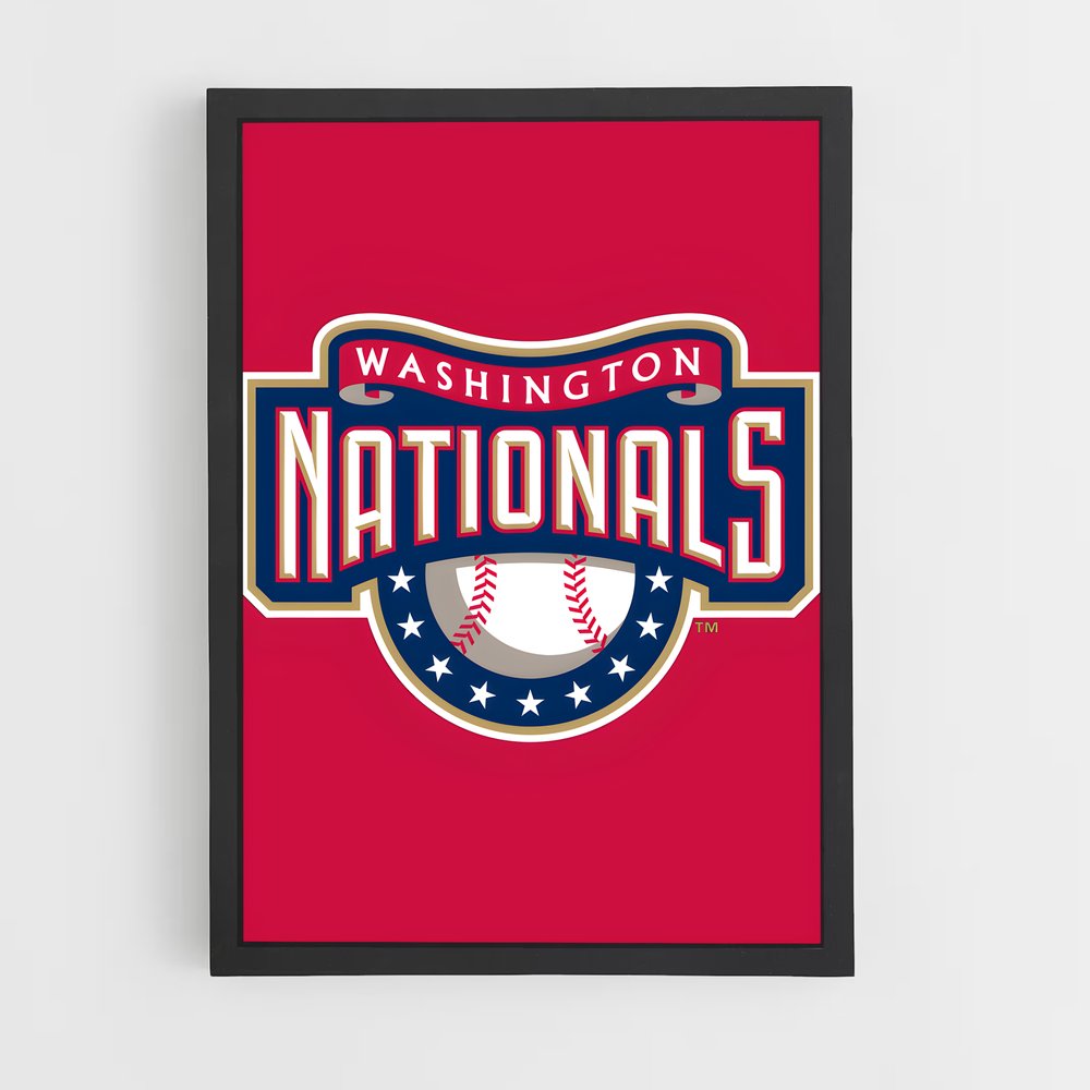 ap-washington nationals-2 cadre Noir