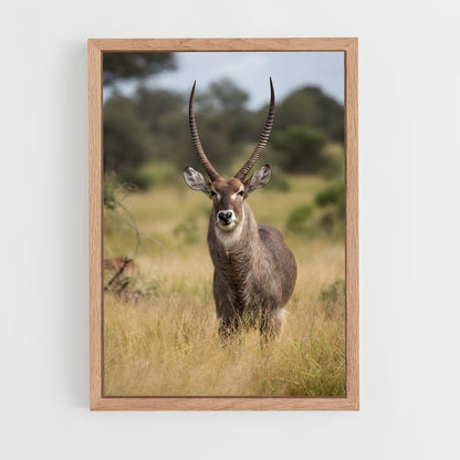 ap-waterbuck-6 cadre Bois clair