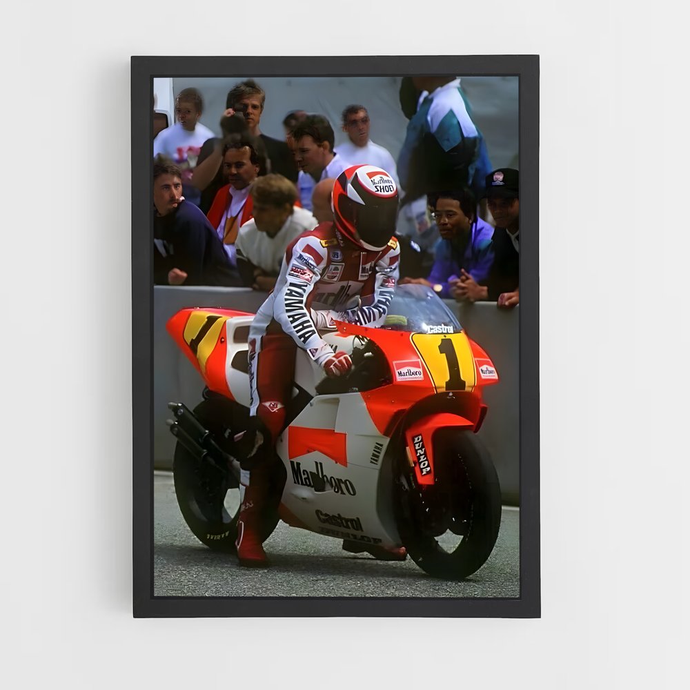 ap-wayne rainey-3 cadre Noir