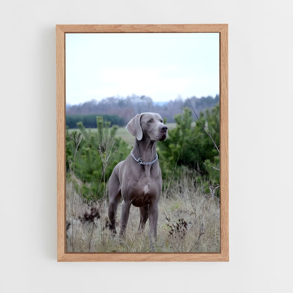 ap-weimaraner-2 cadre Bois clair