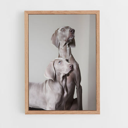 ap-weimaraner-3 cadre Bois clair