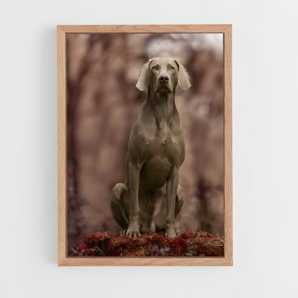 ap-weimaraner-6 cadre Bois clair