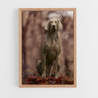 ap-weimaraner-6 cadre Bois clair