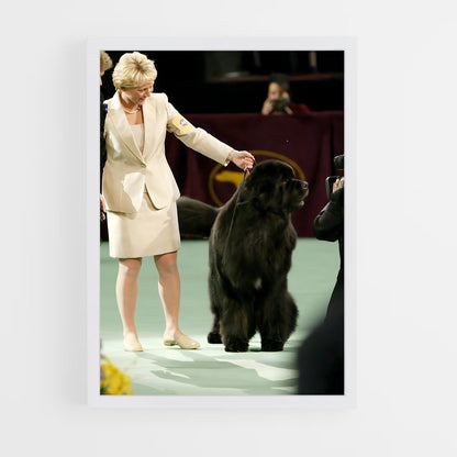 ap-westminster dog show-3 cadre Blanc