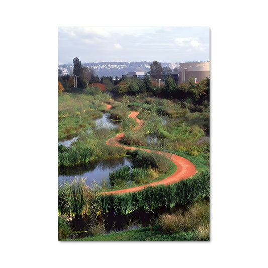 Poster Wetland 96217