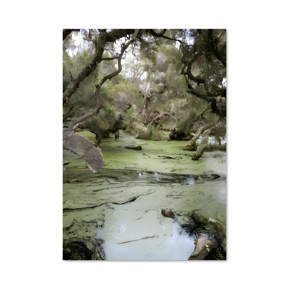 Poster Marais Mystique