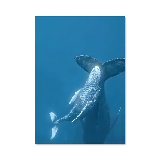 Poster Chant des Mers