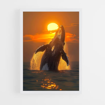 ap-whale-5 cadre Blanc