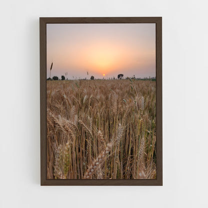 ap-wheat-1 cadre Bois foncé