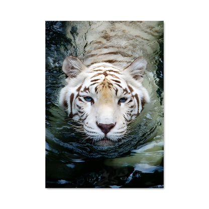 Poster Nageur des Ombres