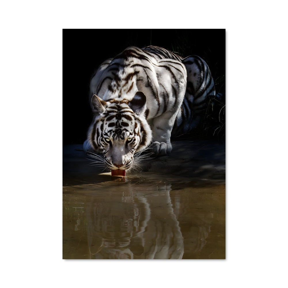 Poster L'Élégance du Tigre Blanc