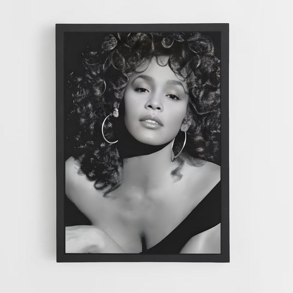 ap-whitney houston-7 cadre Noir