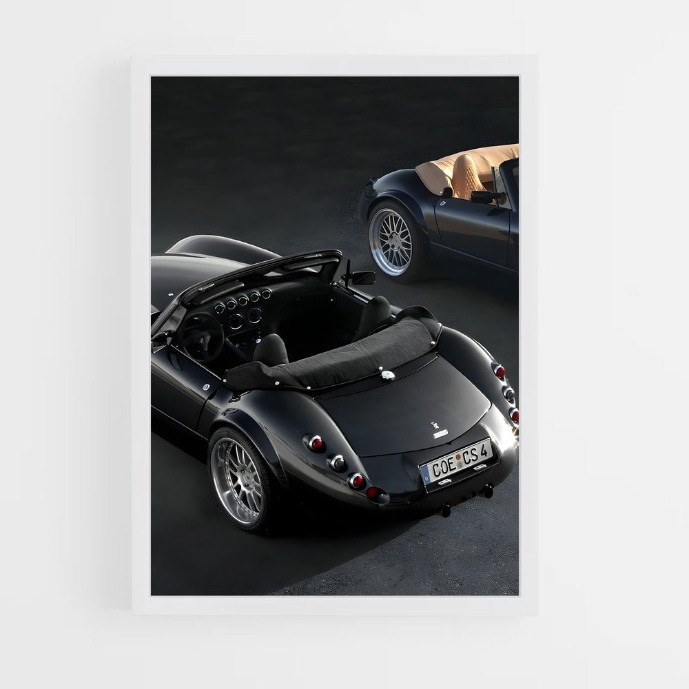 ap-wiesmann-4 cadre Blanc