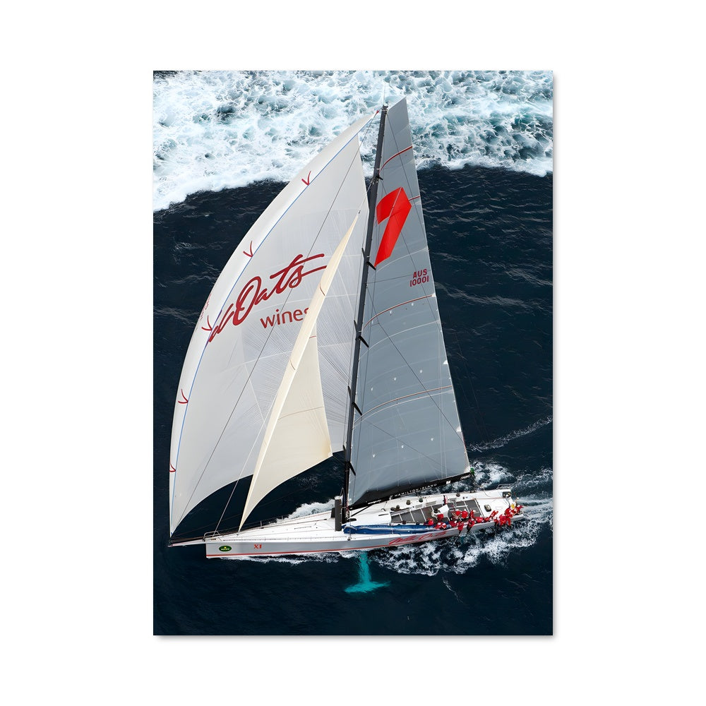 Poster Wild oats xi 80590