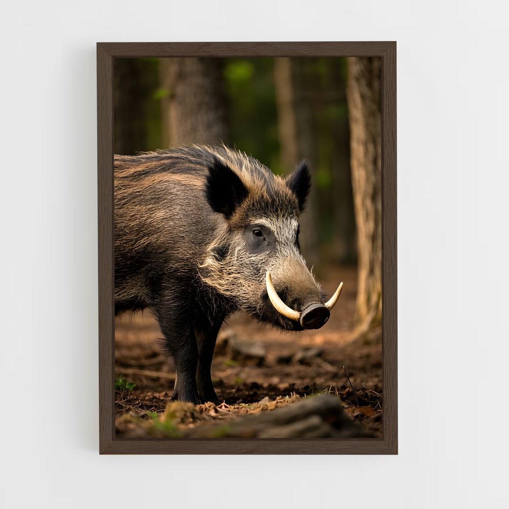 ap-wild boar-1 cadre Bois foncé