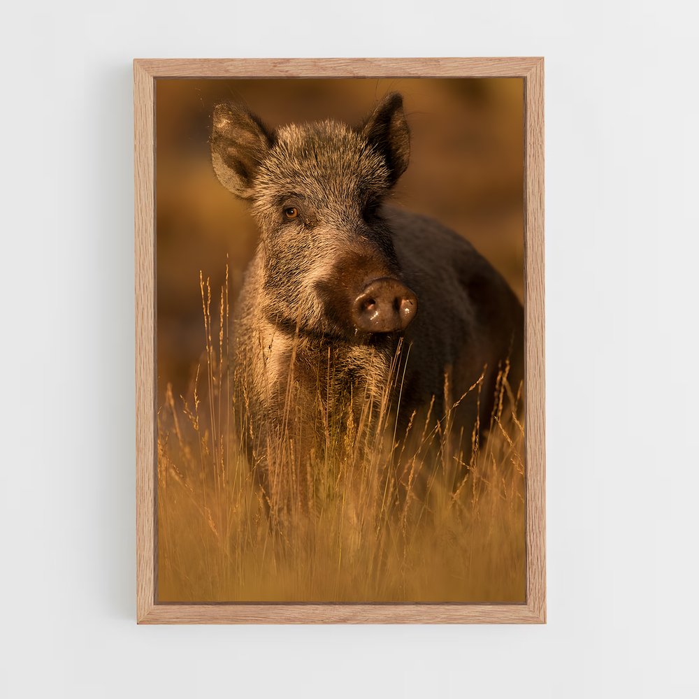 ap-wild boar-2 cadre Bois clair