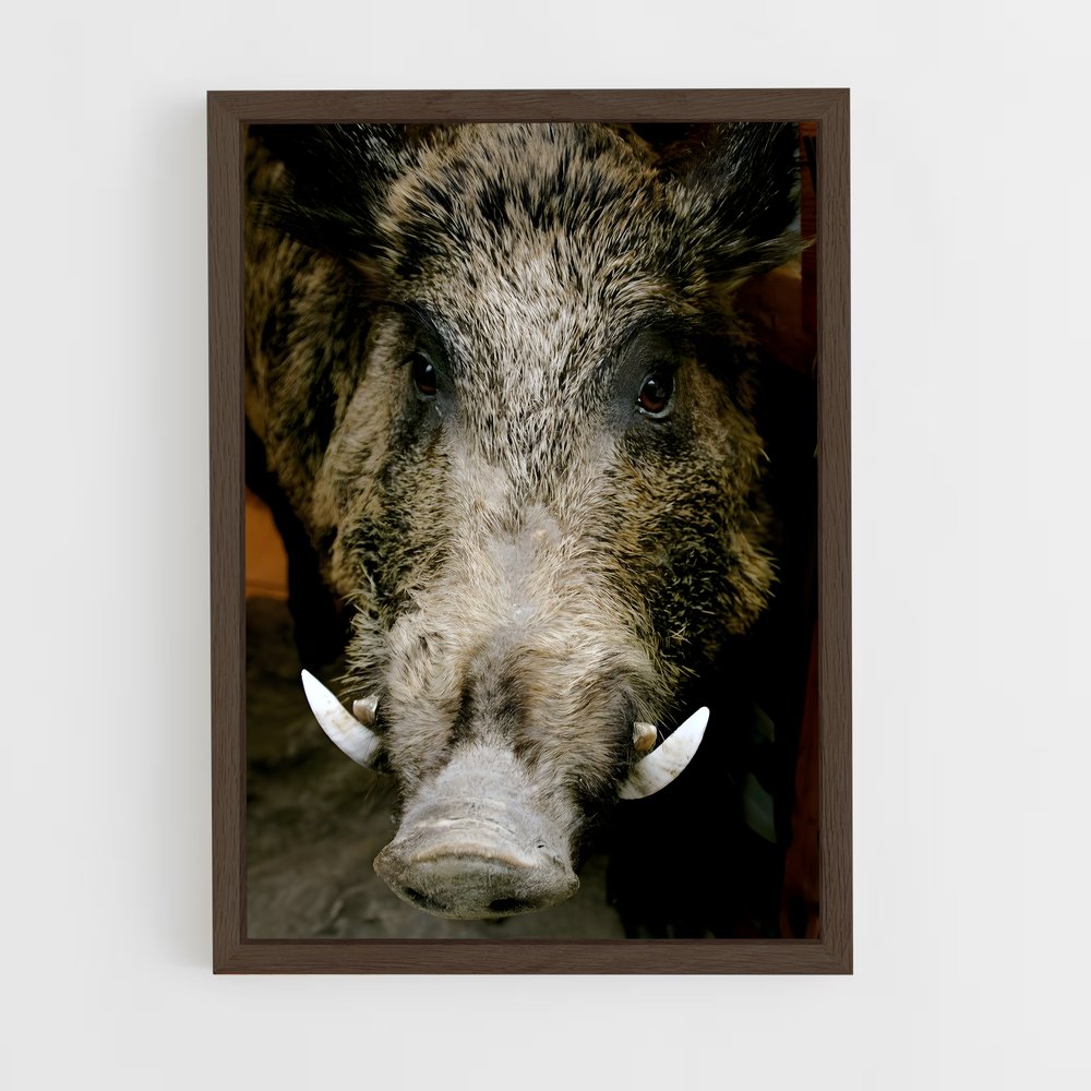 ap-wild boar-3 cadre Bois foncé