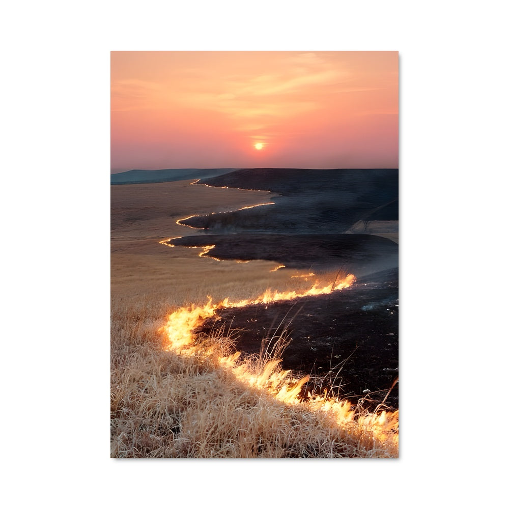 Poster Champs de Flammes