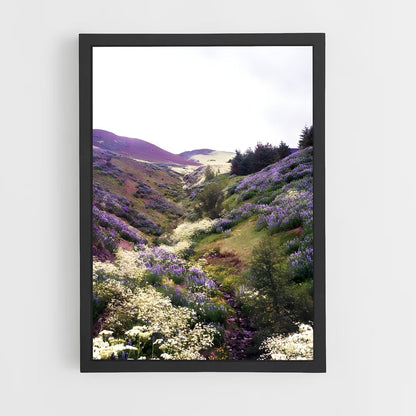 ap-wildflower bloom-7 cadre Noir