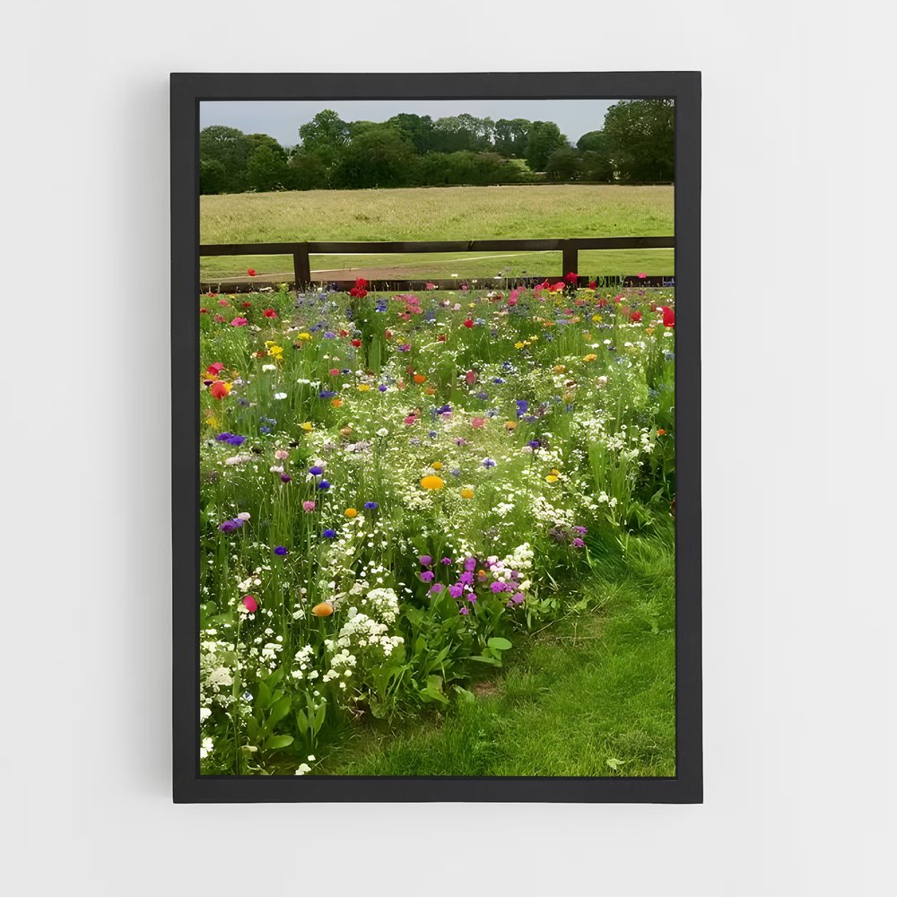 ap-wildflower field-2 cadre Noir