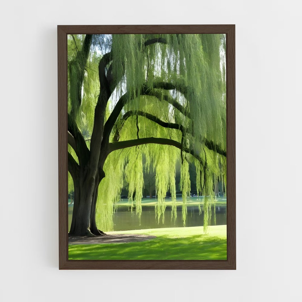 ap-willow-1 cadre Bois foncé
