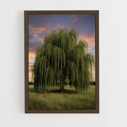 ap-willow-6 cadre Bois foncé