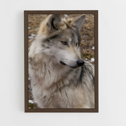 ap-wolf-10 cadre Bois foncé