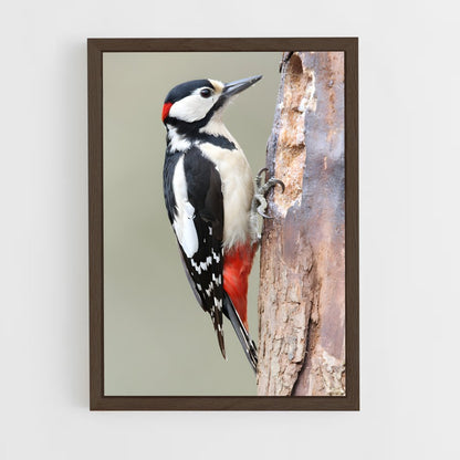 ap-woodpecker-2 cadre Bois foncé