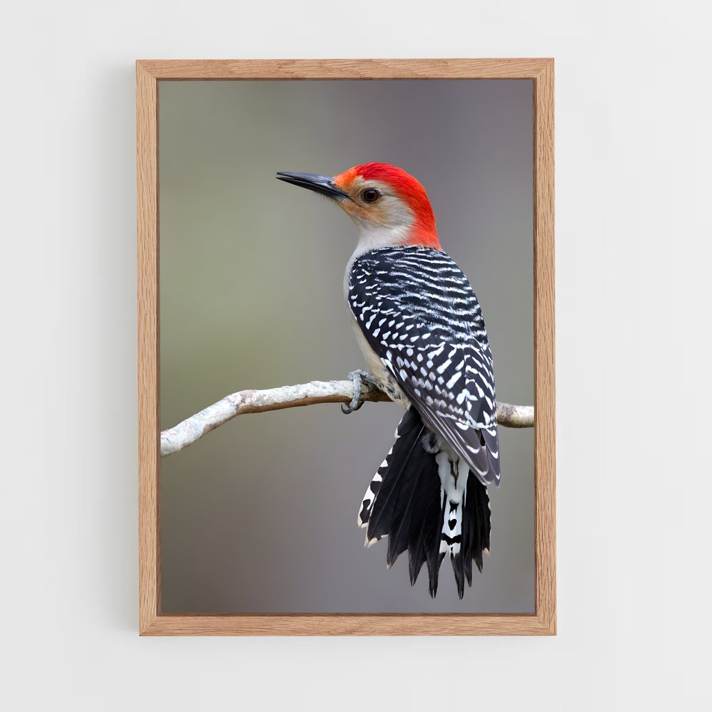 ap-woodpecker-3 cadre Bois clair