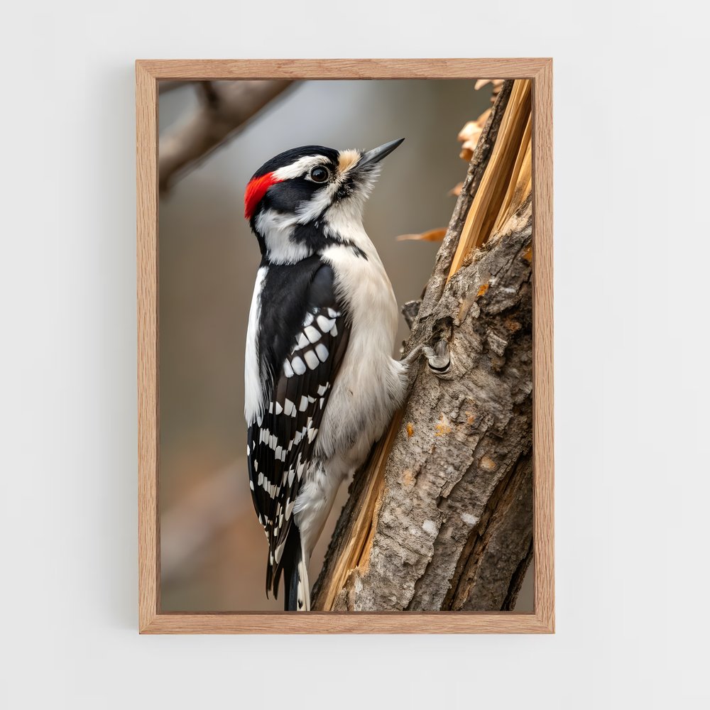 ap-woodpecker-4 cadre Bois clair