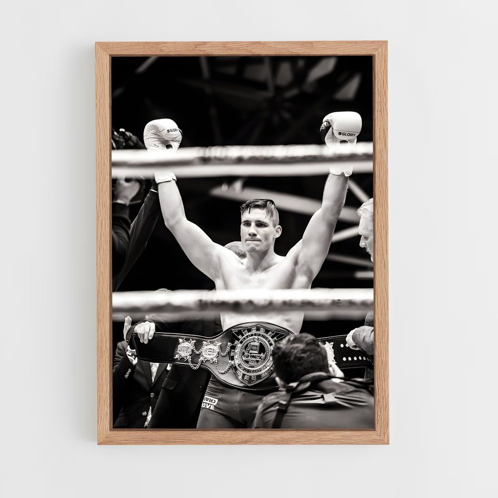 ap-world boxing super series-3 cadre Bois clair
