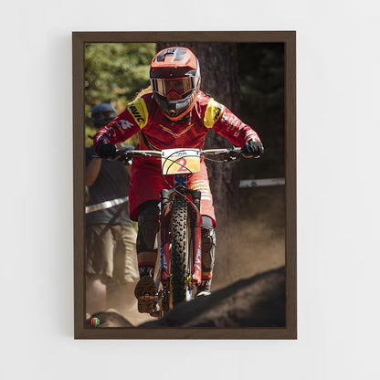 ap-world enduro series-1 cadre Bois foncé