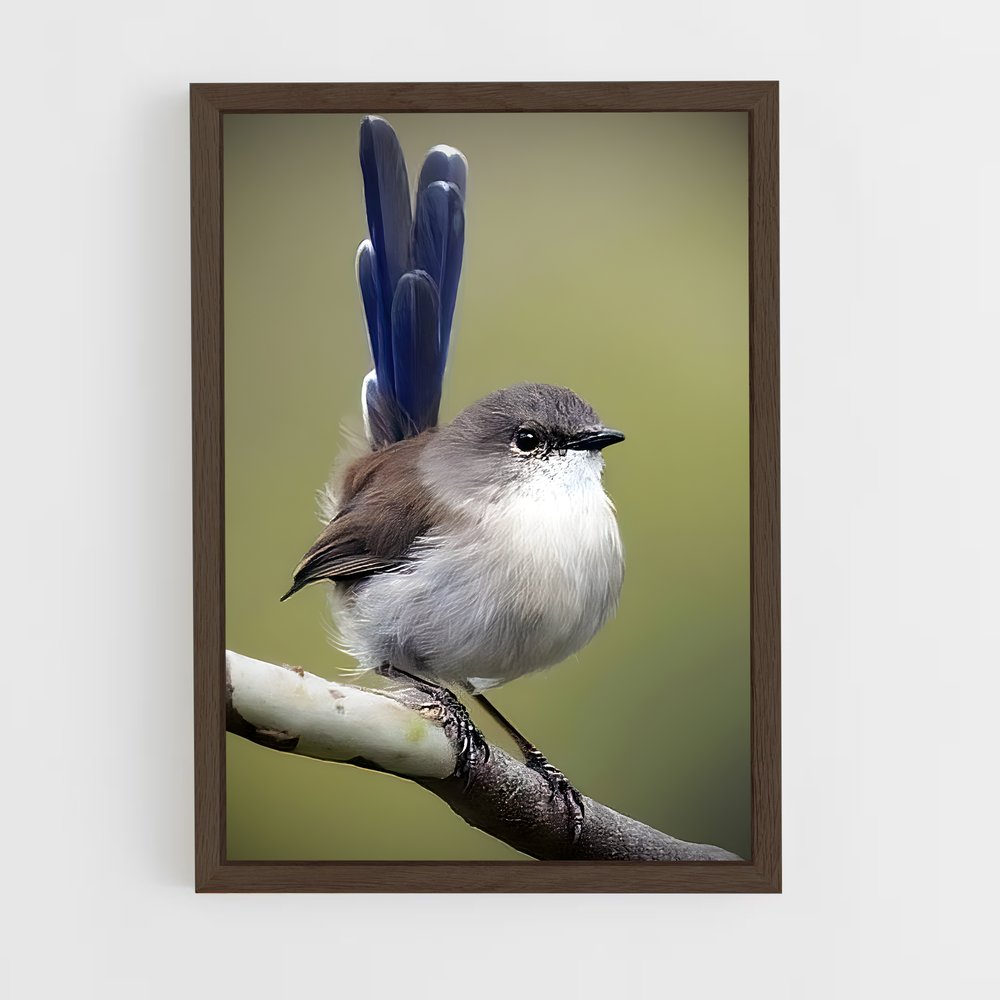 ap-wren-2 cadre Bois foncé