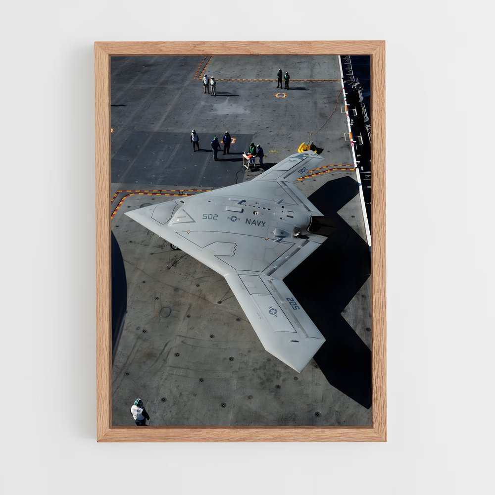 ap-x-47b-1 cadre Bois clair
