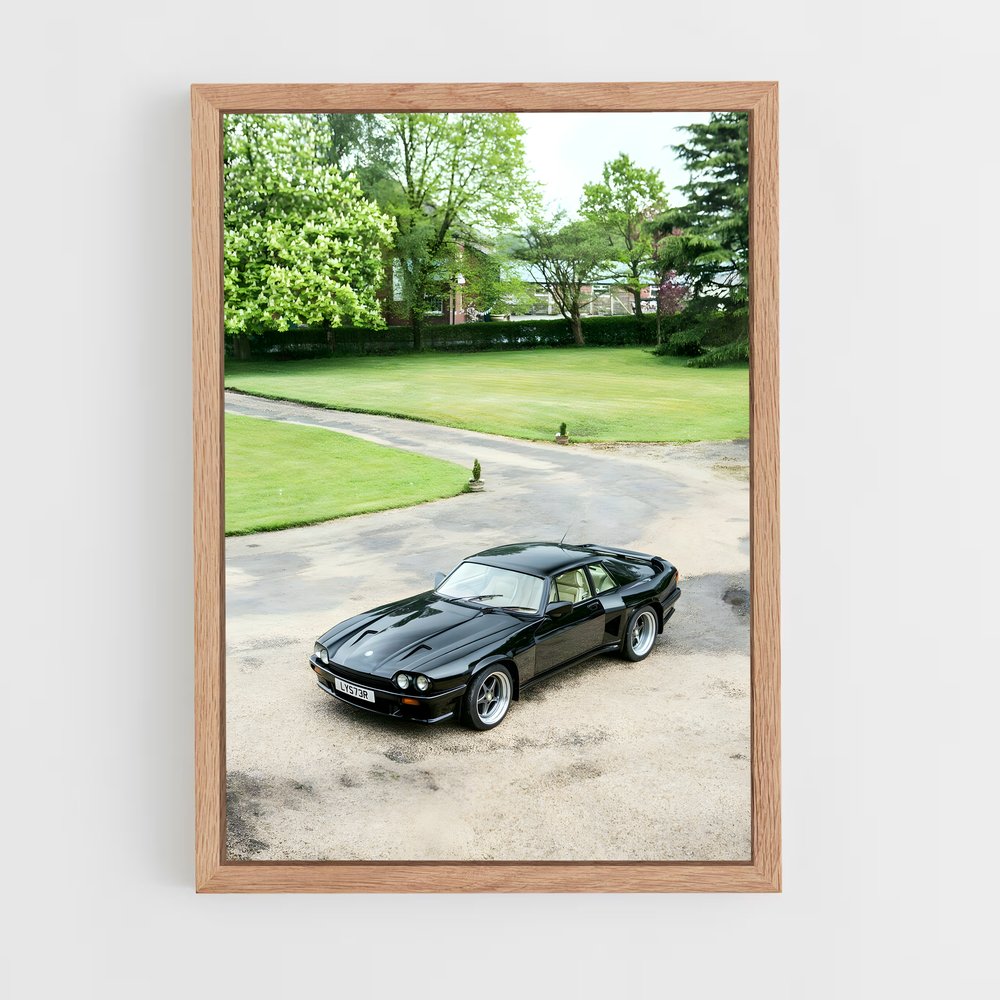 ap-xj-s v12-1 cadre Bois clair