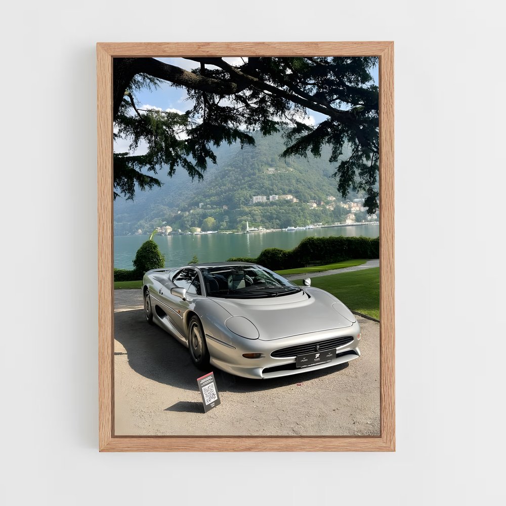 ap-xj220-3 cadre Bois clair