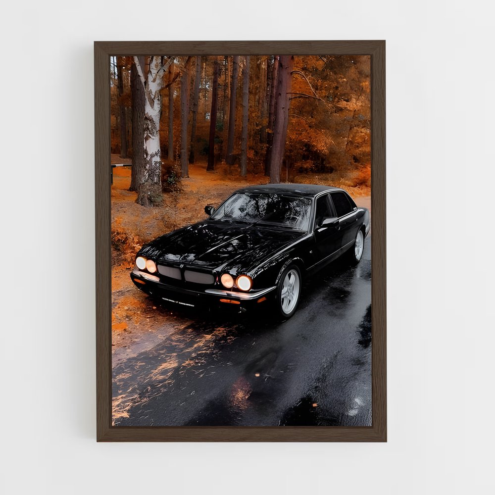 ap-xjr-1 cadre Bois foncé