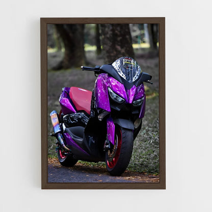ap-xmax 300-1 cadre Bois foncé