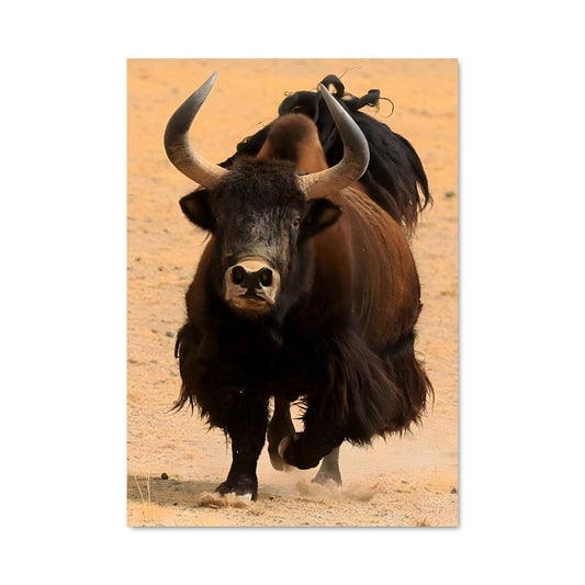 Poster Bison en Fuite
