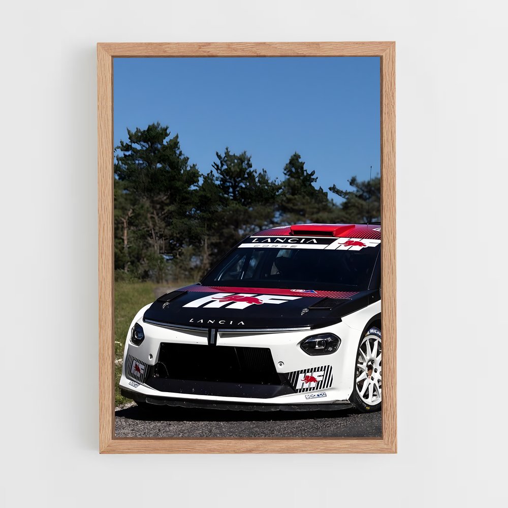 ap-ybsilon integrale-1 cadre Bois clair