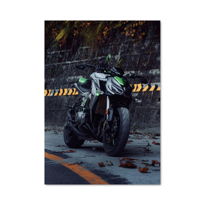 Poster Z1000 82453